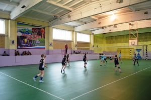 Первенство МУДО «Удорская ДЮСШ» по волейболу среди девушек и юношей